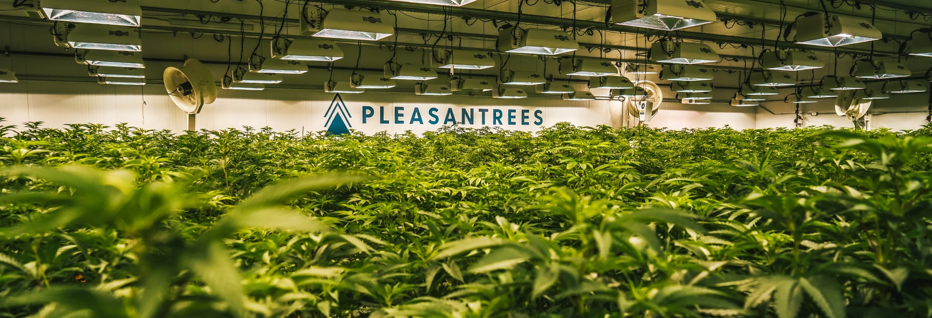 pleasantrees grow photo web banner