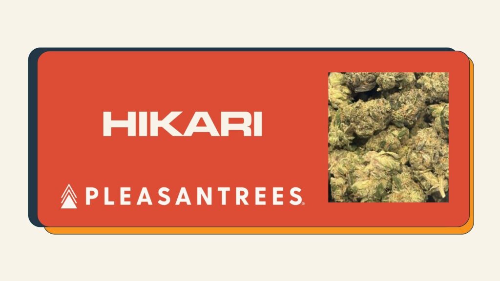 hikari web image