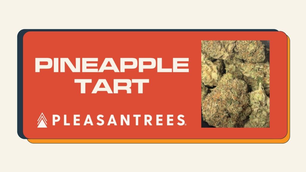 pineapple tart web image