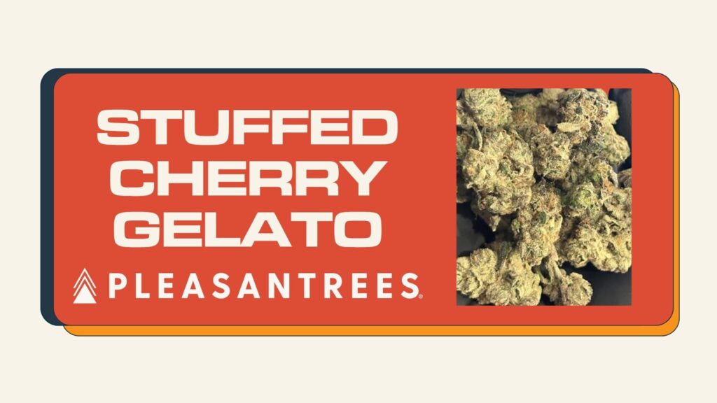 stuffed cherry gelato web image
