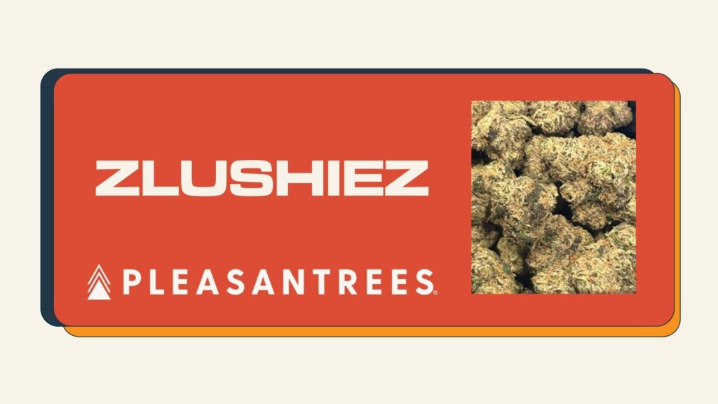 zlushiez web image