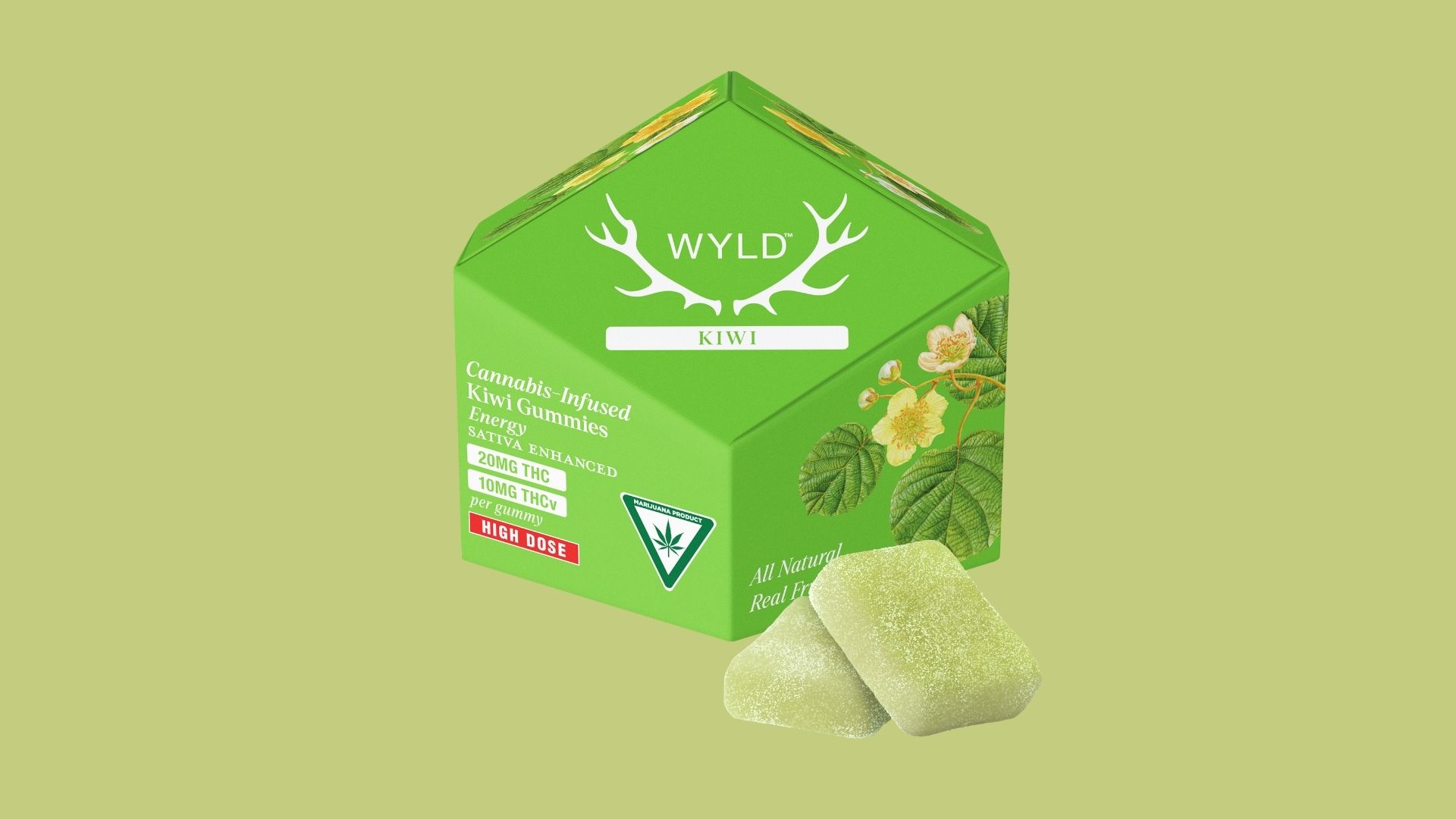 wyld kiwi web image