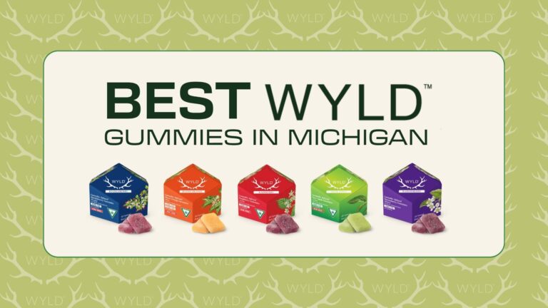 wyld blog web banner